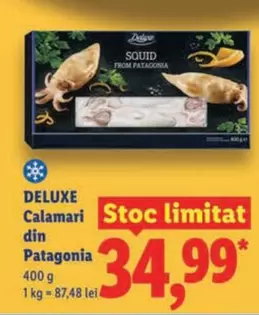 Patagonia - Calamari din