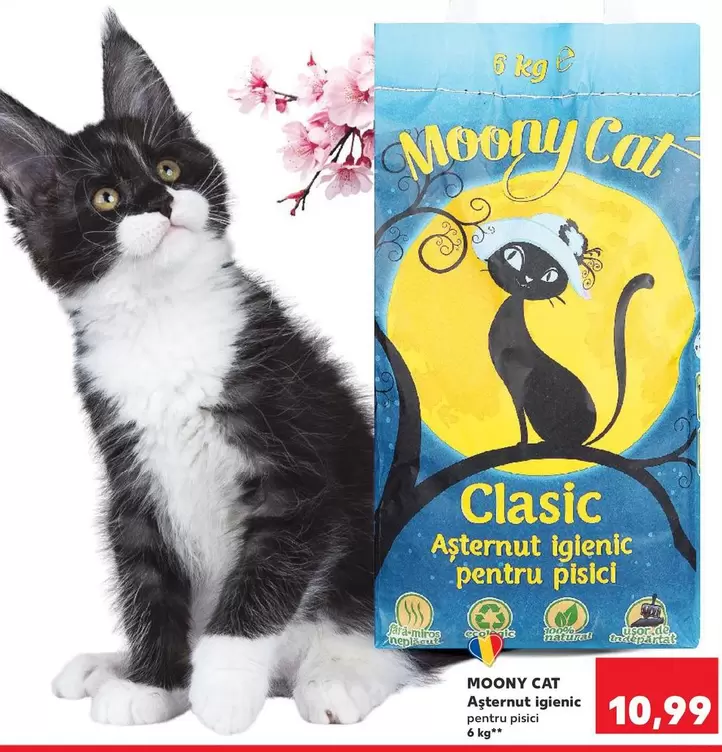 Asternut Igienic pentru pisici