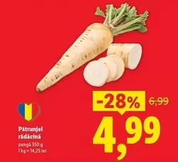 Pătrunjel rădăcină