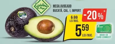 MEGA AVOCADO
