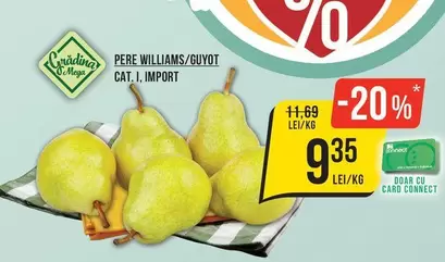 PERE WILLIAMS/GUYOT CAT. I, IMPORT