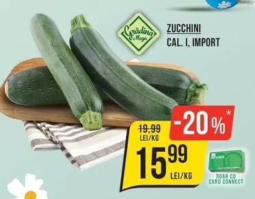 Zucchini