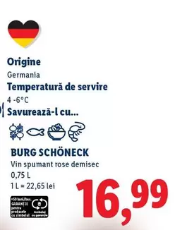 Vin spumant rose demisec