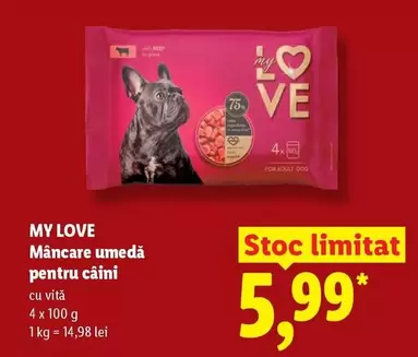 Mâncare umedă pentru câini