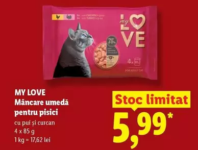 Mâncare umedă pentru pisici