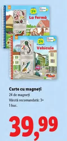 Carte cu magneți