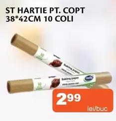 ST HARTIE PT. COPT 38*42CM 10 COLI
