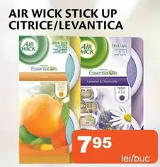 Up - STICK UP CITRICE/LEVANTICA