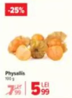 Physalis
