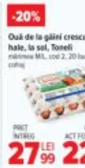 Ouă de la găini crescute 
hale, la sol, Toneli 
mărime M/L, cod 2, 20 buc 
coajă