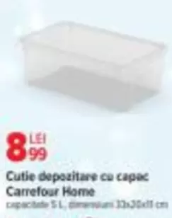 Cutie depozitare cu capac