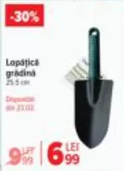 Lopățică grădină