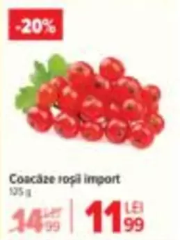 Coacederal.ze roederal.ii import