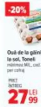 Ouă de la găini la sol