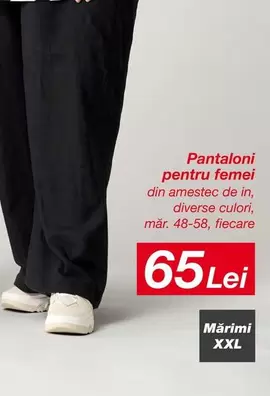 Pantaloni pentru femei
