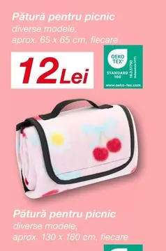 Pătură pentru picnic