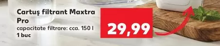 Cartuș filtrant Maxtra Pro