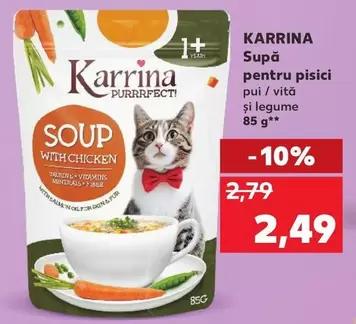 Supă pentru pisici pui / vită și legume