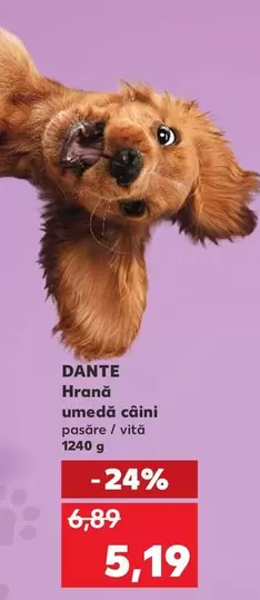 Hrană umedă câini pasăre / vițel