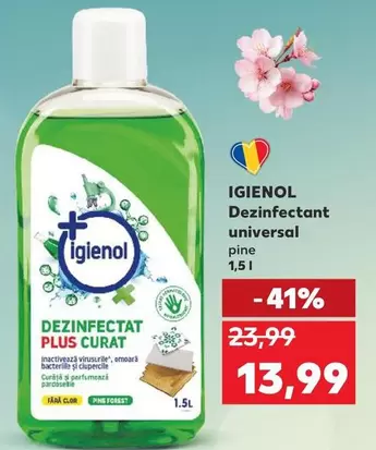 Forest - Dezinfectant universal