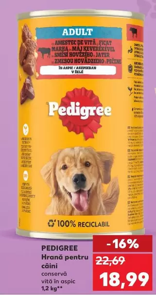 Hrana pentru caini conserv
vit
aspic