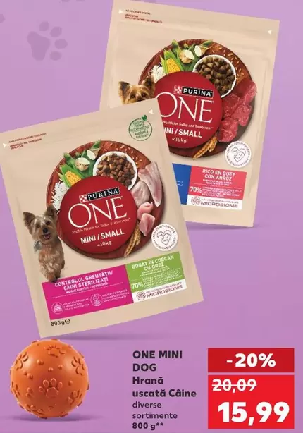 Purina - Hrana uscata Câine MINI/SMALL