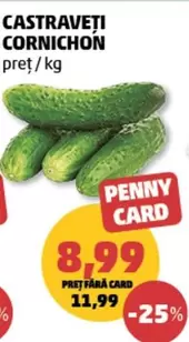 CASTRAVEȚI CORNICHIION