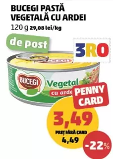 BUCEGI PASTA VEGETALA CU ARDEI