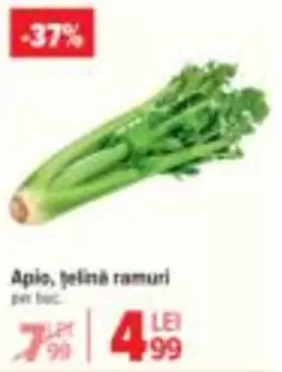 Apio, țelină ramuri