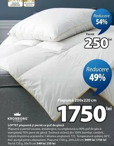 LOFTET plapumă și pernă cu puf de gâscă