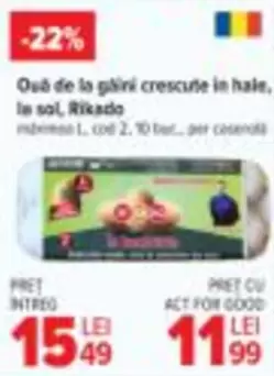 Ouă de la găini crescute în hale, le sol