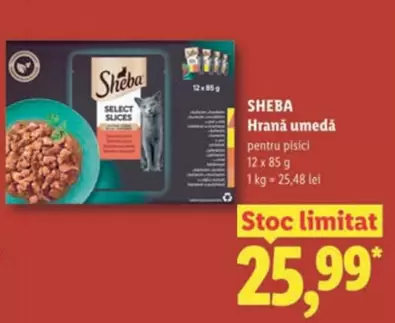 Hrană umedă pentru pisici