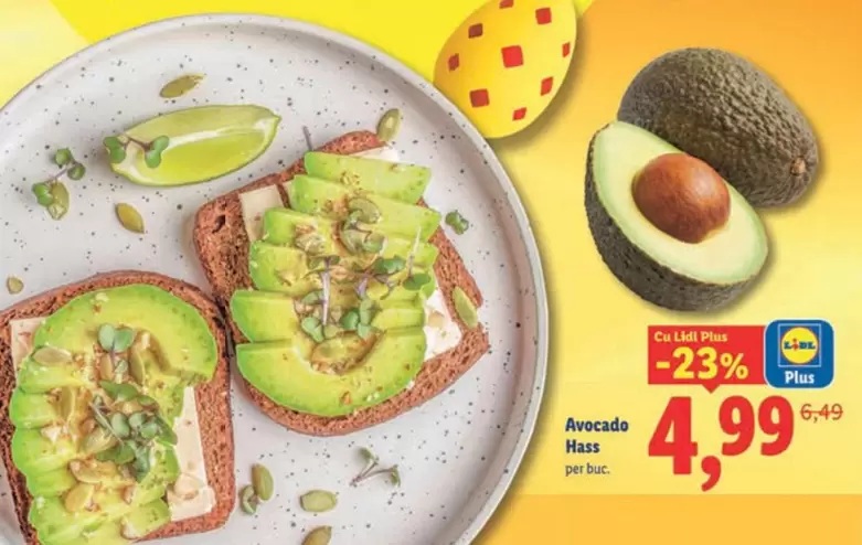 Avocado Hass
