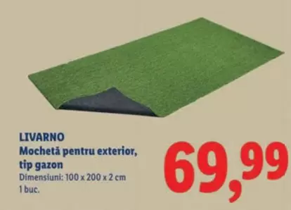 Mochetă pentru exterior, tip gazon