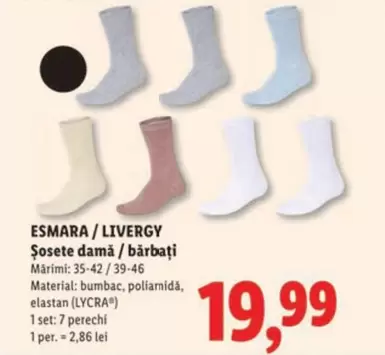 Șosete damă / bărbați