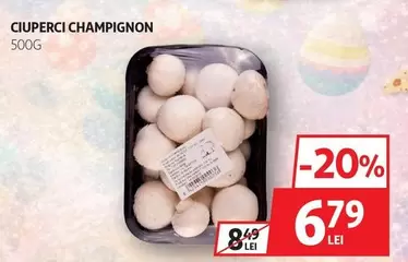 CIUPERCI CHAMPIGNON