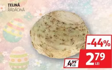 Țelină Rădăcină