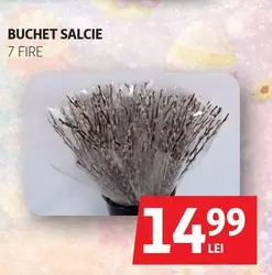 BUCHET SALCIE