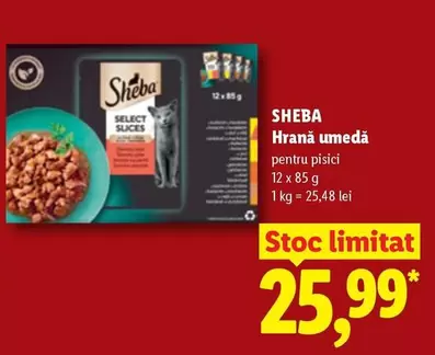 Hrană umedă pentru pisici