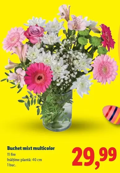 Buchet mixt multicolor