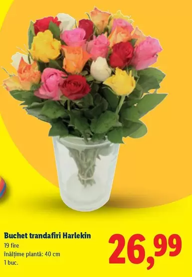 Buchet trandafiri Harlekin