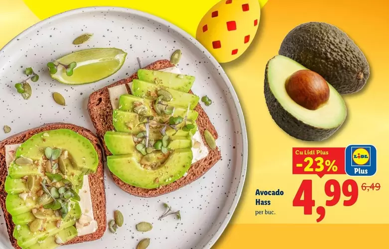 Avocado Hass
