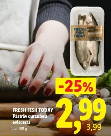 Păstrăv curcubeu eviscerat