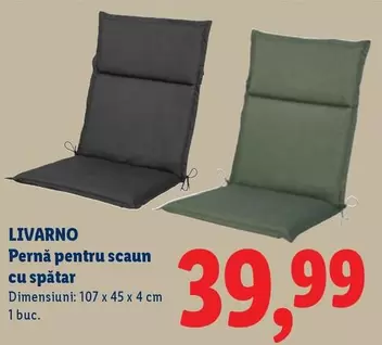 Pernă pentru scaun cu spătar