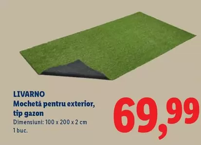 Mochetă pentru exterior, tip gazon