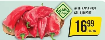 ARDEI KAPI A ROȘU