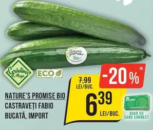 CASTRAVEȚI FABIO BUCATĂ, IMPORT