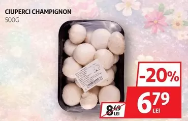CIUPERCI CHAMPIGNON