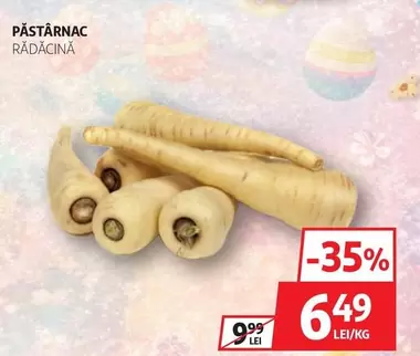 PĂSTÂRNAC RĂDĂCINĂ