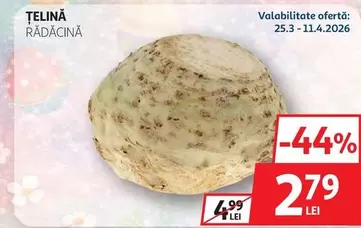 ȚELINĂ RĂDĂCINĂ